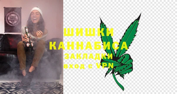 шишки Вязьма