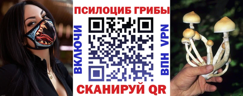Псилоцибиновые грибы MAGIC MUSHROOMS  где продают наркотики  Мариинск 