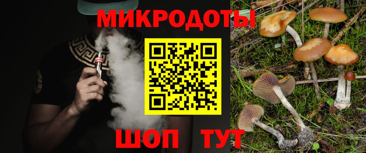 Псилоцибиновые грибы мухоморы Мариинск