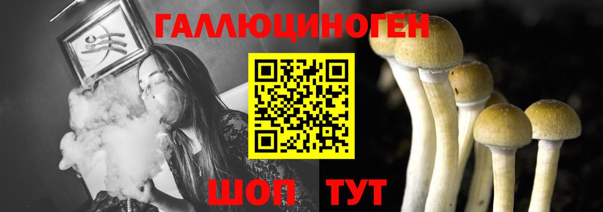 Галлюциногенные грибы мухоморы  продажа наркотиков  Мариинск  Вход с VPN 